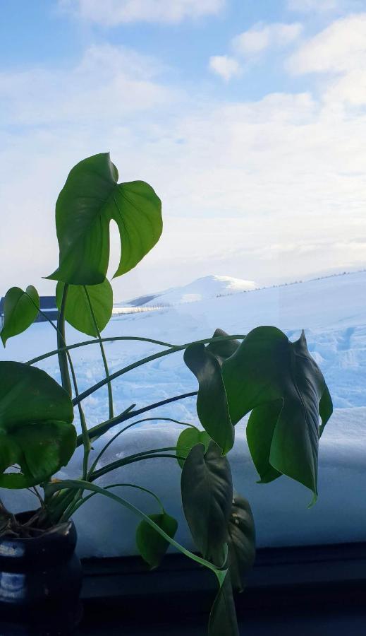Svartaborg Húsavík المظهر الخارجي الصورة